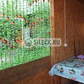Жилье в Соль-Илецке в гостевом доме «Ореада» - Общие фото #1